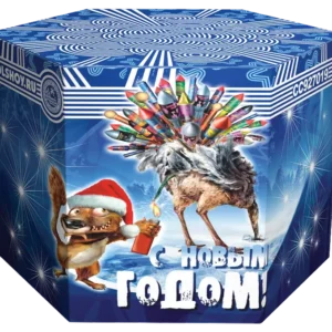 С Новым годом-19